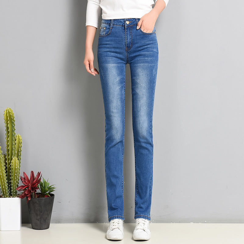 Women's Slim Fit Elastic Straight Jeans